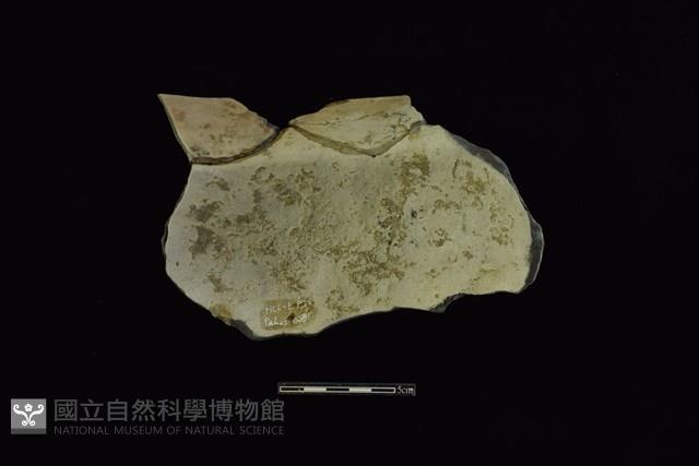 陶罐藏品圖，第2張