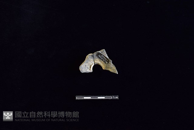 陶甑藏品圖，第2張