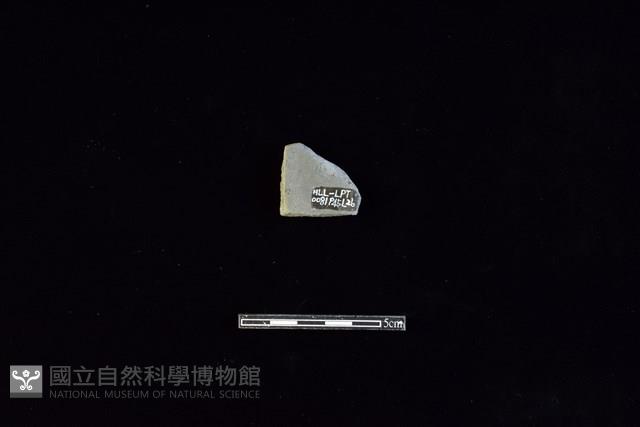 陶片藏品圖，第2張