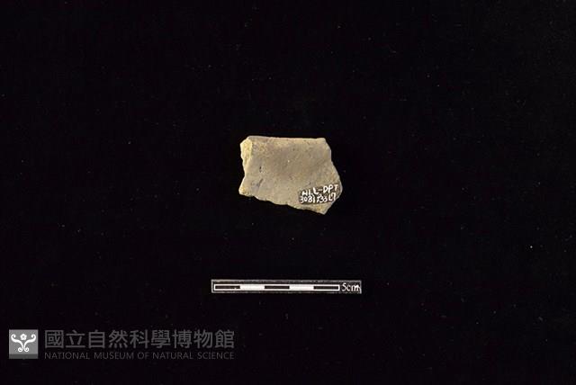 陶罐藏品圖，第2張