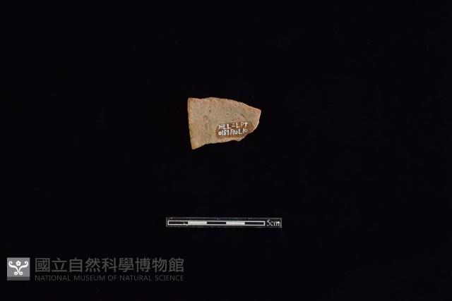 Accession Number:HLL-L-PT0181 Collection Image, Figure 2, Total 2 Figures