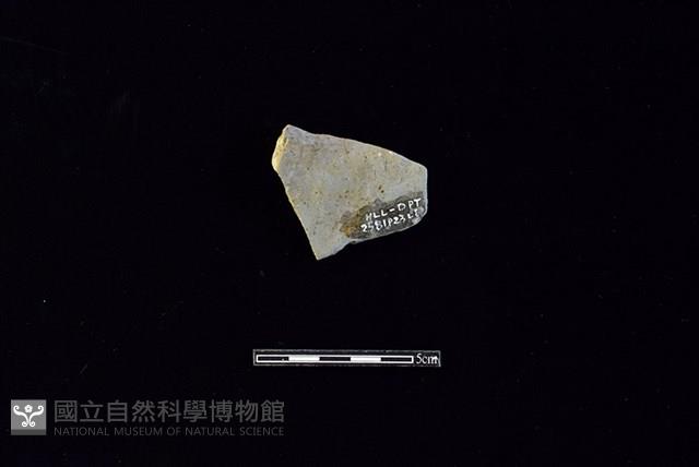 陶罐藏品圖，第2張