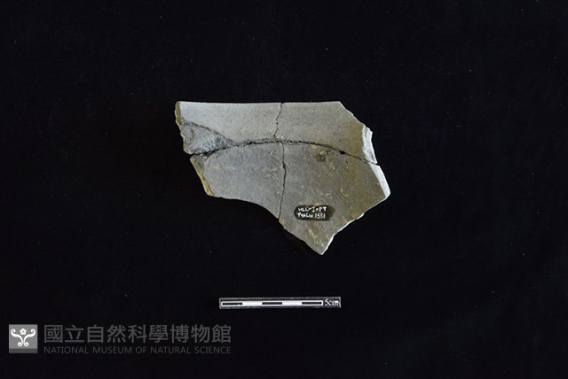 陶罐藏品圖，第2張