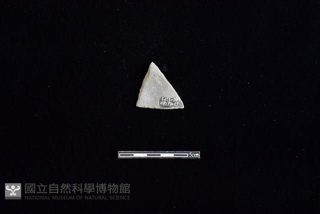 陶片藏品圖，第2張