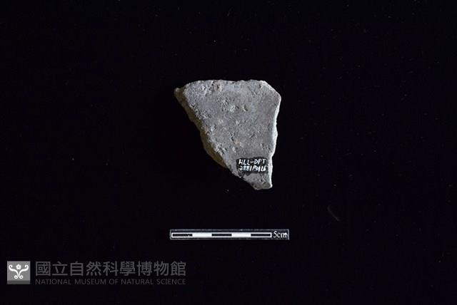 陶罐藏品圖，第2張