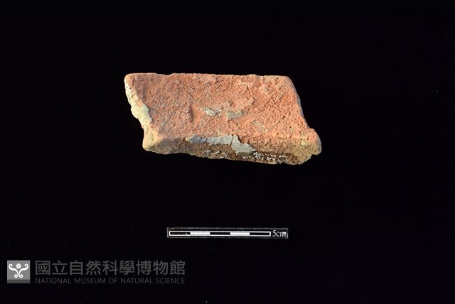 陶罐藏品圖，第2張