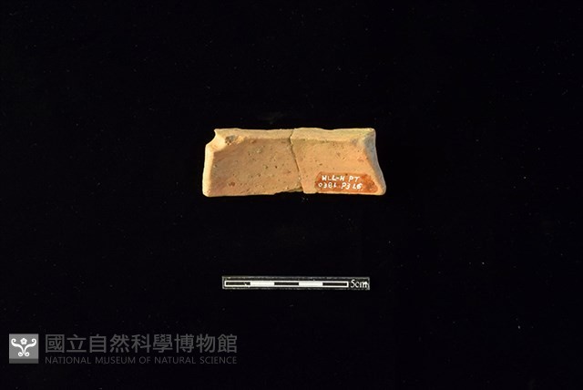 陶片藏品圖，第2張