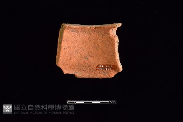 陶片藏品圖，第2張