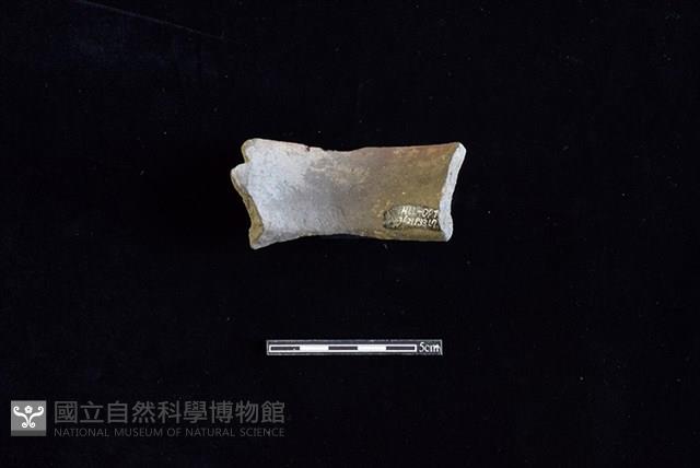 陶罐藏品圖，第2張