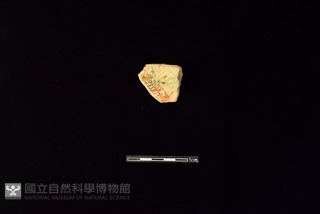陶片藏品圖，第2張