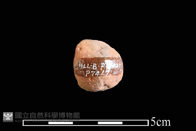 陶紡輪藏品圖，第2張