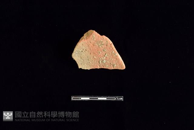 陶片藏品圖，第2張