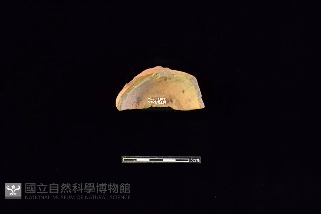 陶片藏品圖，第2張