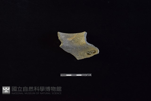 陶罐藏品圖，第2張