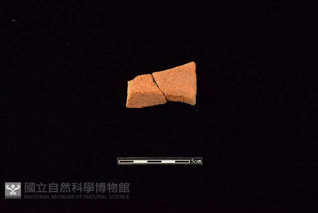 連杯形器藏品圖，第2張