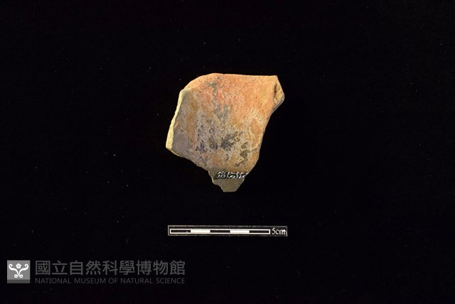 陶罐藏品圖，第2張
