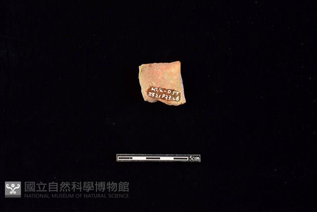 陶罐藏品圖，第2張