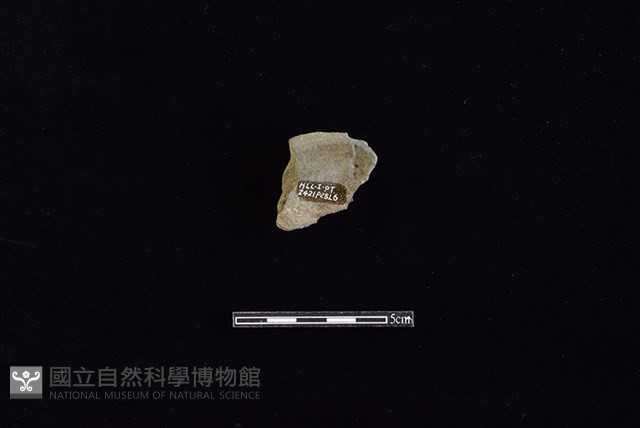 陶蓋鈕藏品圖，第2張