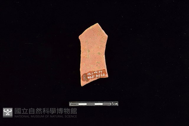 陶片藏品圖，第2張