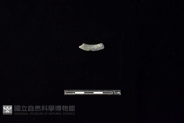 陶環藏品圖，第2張