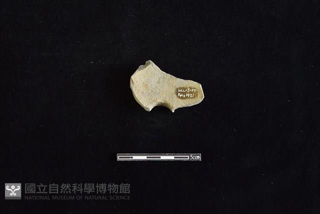 陶甑藏品圖，第2張