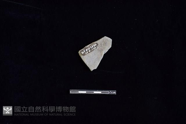 陶片藏品圖，第2張