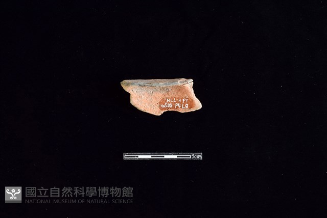 陶片藏品圖，第2張