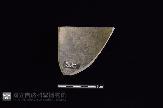 Accession Number:HLL-I-PT2295 Collection Image, Figure 2, Total 2 Figures