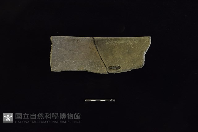 陶瓢藏品圖，第2張