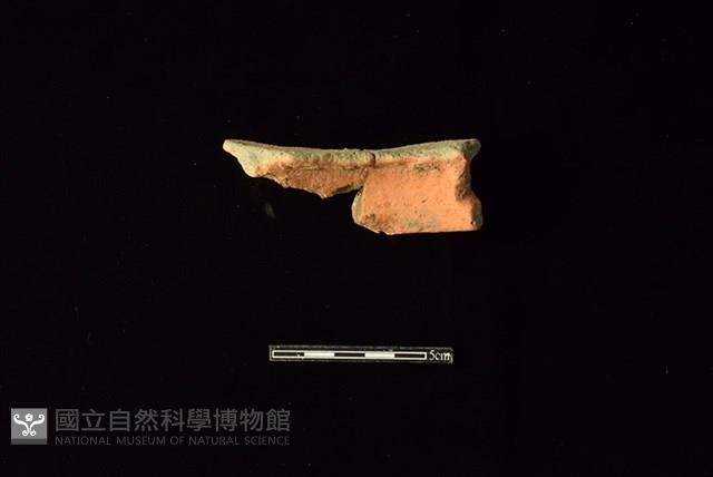 陶片藏品圖，第2張