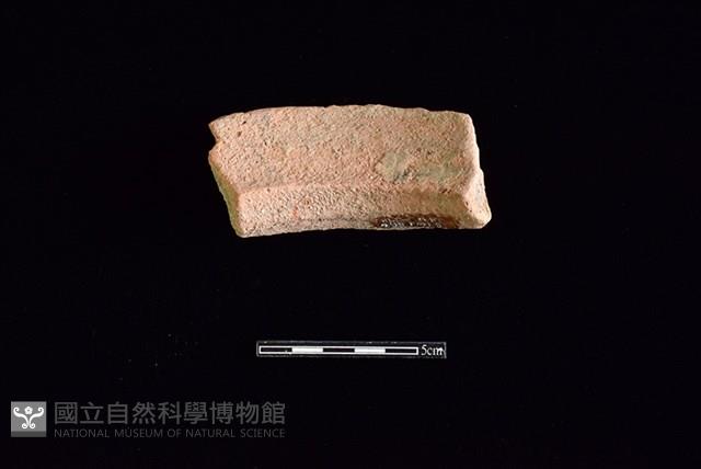 Accession Number:HLL-H PT0095 Collection Image, Figure 2, Total 2 Figures