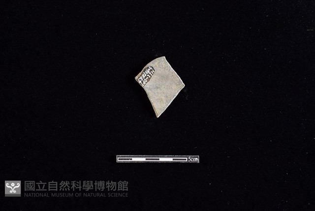 陶片藏品圖，第2張