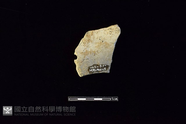 陶片藏品圖，第2張