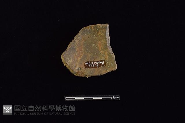 陶片藏品圖，第2張