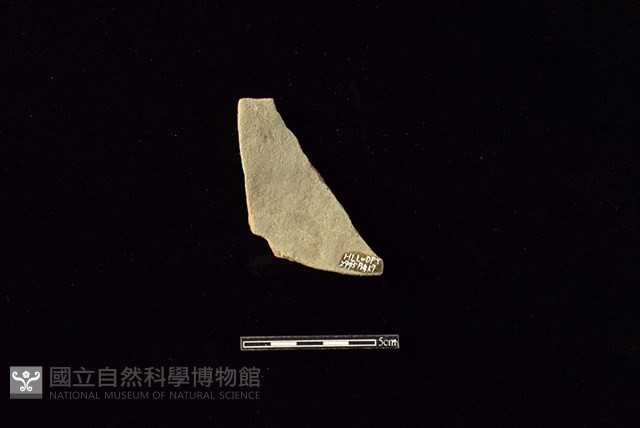 陶片藏品圖，第2張