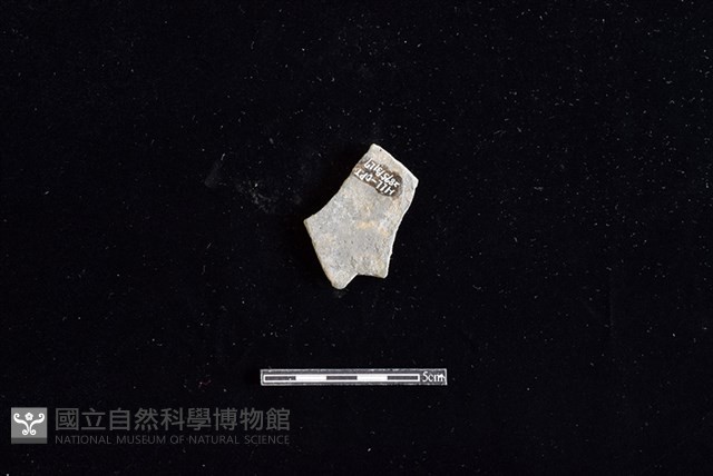 陶片藏品圖，第2張