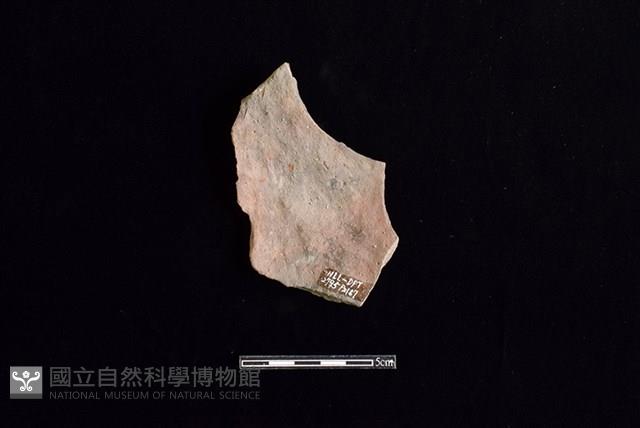 陶片藏品圖，第2張