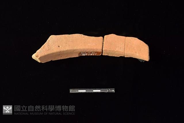 連杯形器藏品圖，第2張