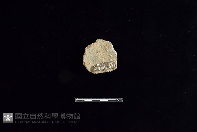 陶片藏品圖，第2張