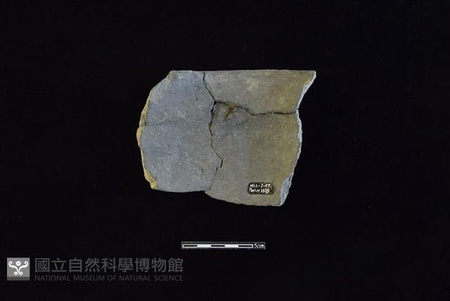 陶罐藏品圖，第2張