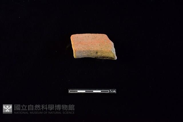 陶罐藏品圖，第2張