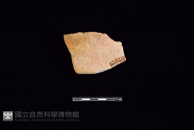 連杯形器藏品圖，第2張