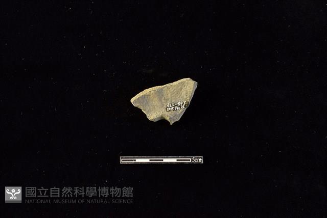 陶甑藏品圖，第2張