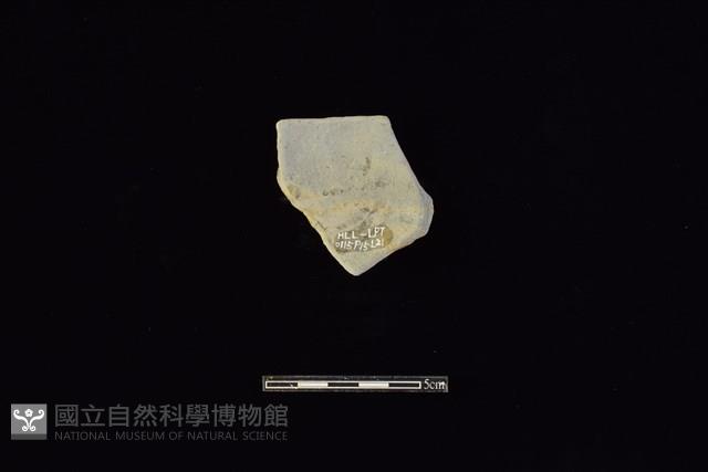 陶片藏品圖，第2張