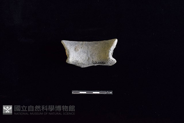 陶罐藏品圖，第2張