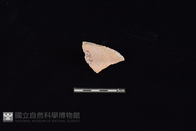 陶片藏品圖，第2張