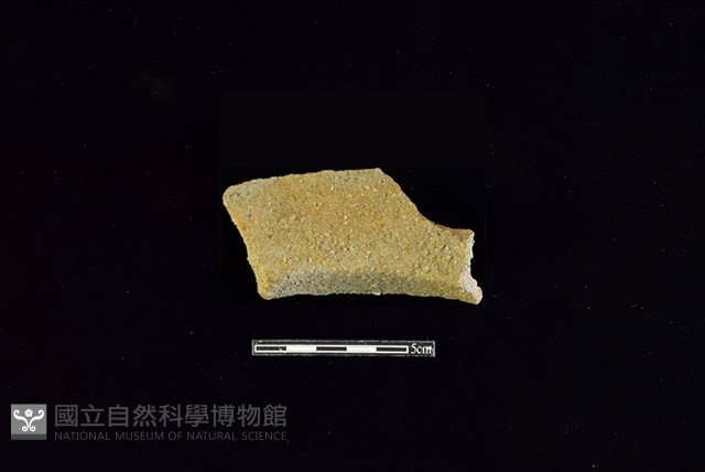 陶罐藏品圖，第2張