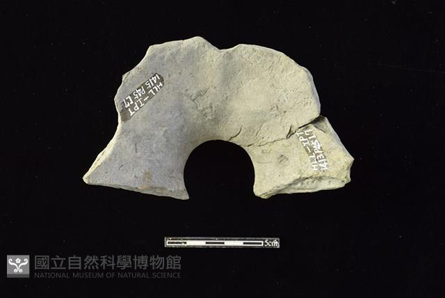 陶罐藏品圖，第2張