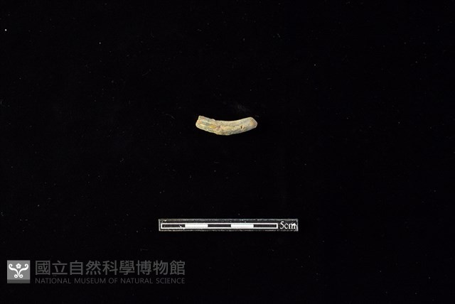 陶環藏品圖，第2張
