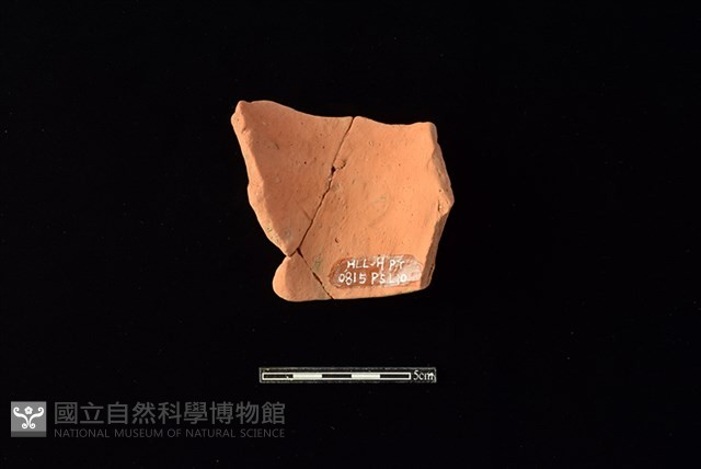 陶片藏品圖，第2張